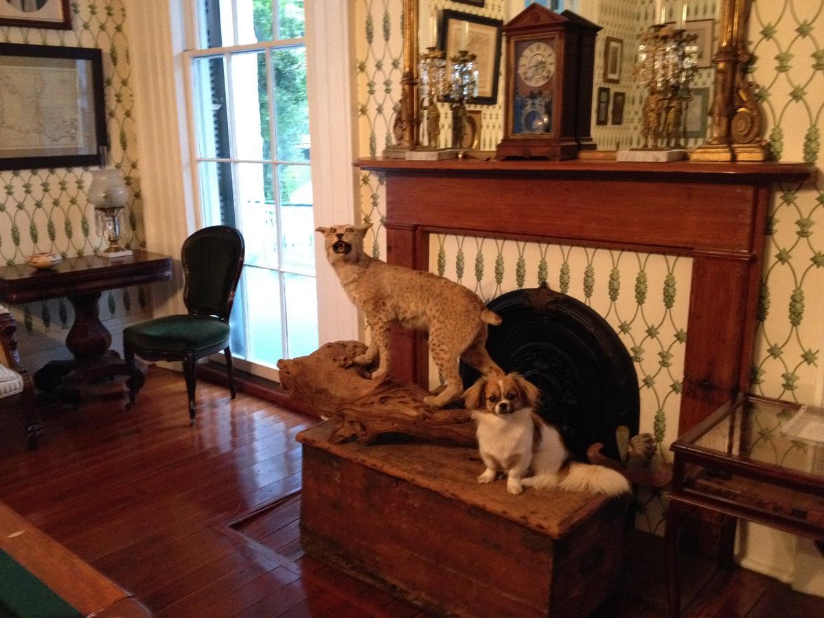 Stone House Musical B&B Natchez Eksteriør billede